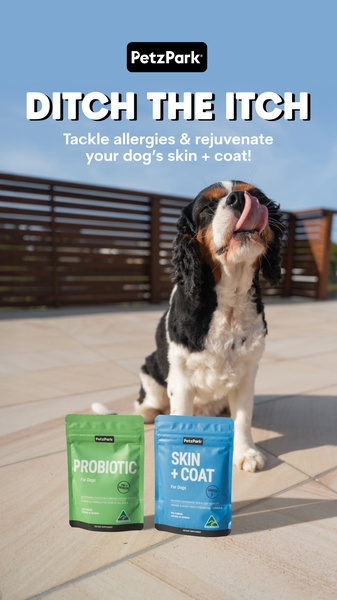 A vertical ad featuring a dog enjoying a moment of relief next to Probiotic and Skin & Coat supplements by PetzPark.